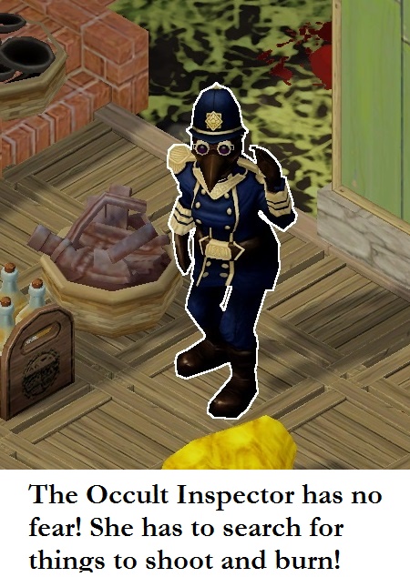 27 inspector at work.jpg