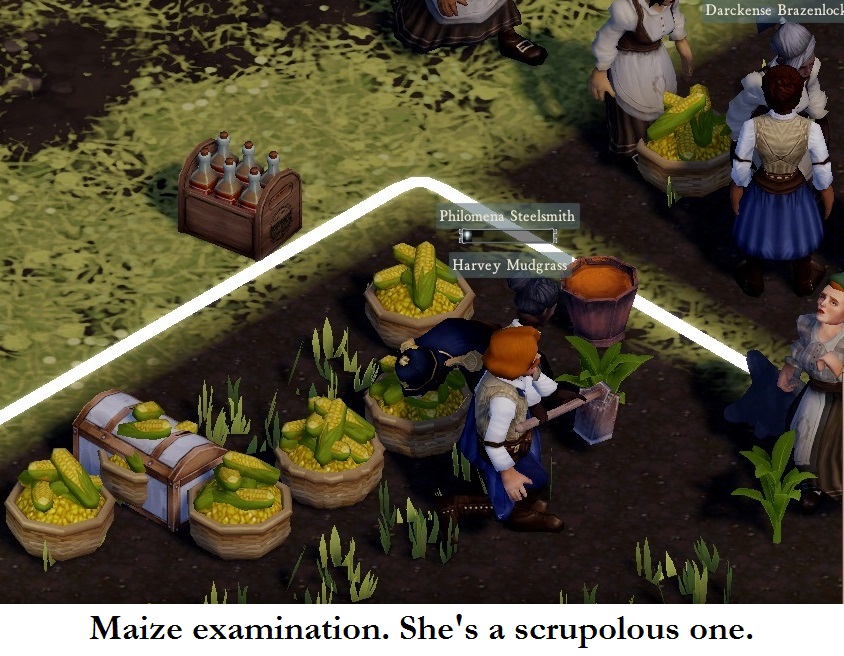 40 inspecting the maize.jpg