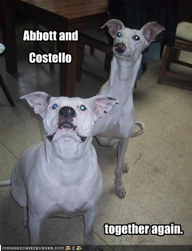 Abbott and Costello together again 382x500.jpg