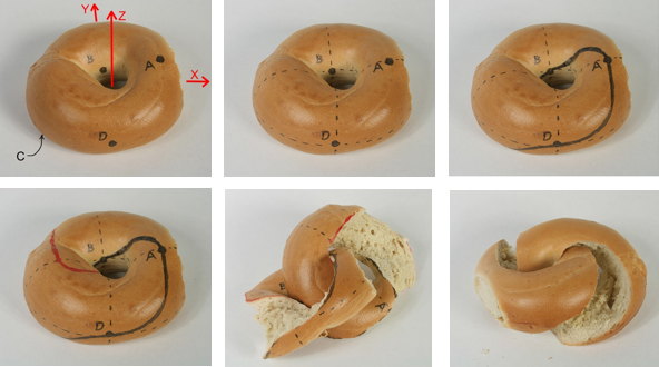 bagelmobius.jpg