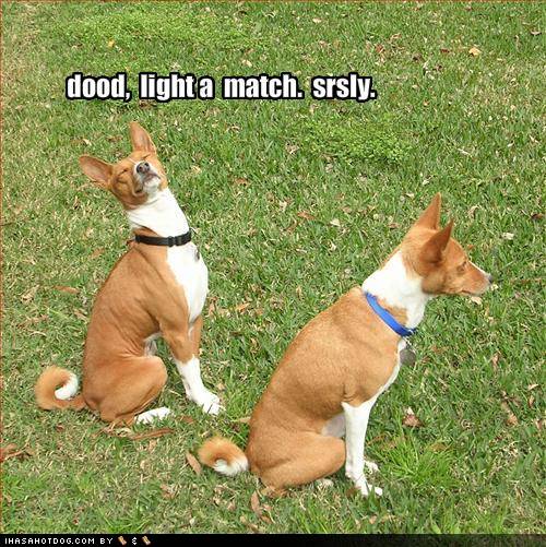 dood, light a match. srsly. 500x501.jpg