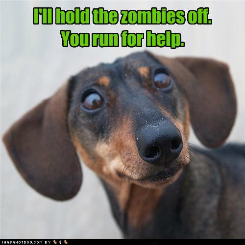 Hold Off Zombies 500x500.jpg