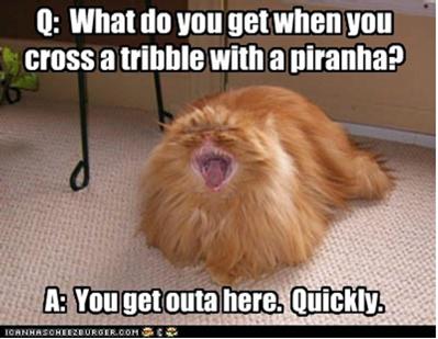 tribble pirahna.jpg